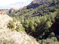 Barranco de las Minas. Orihuela. Alicante