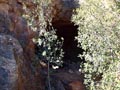 Barranco de las Minas. Orihuela. Alicante