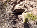 Mineria del Cobre en Orihuela. Alicante